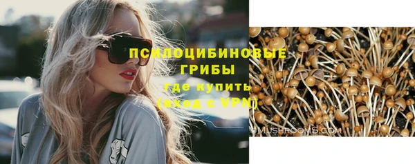 стаф Верхний Тагил