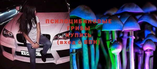 молекула духа Волоколамск