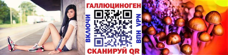 Псилоцибиновые грибы Magic Shrooms  продажа наркотиков  Перевоз 